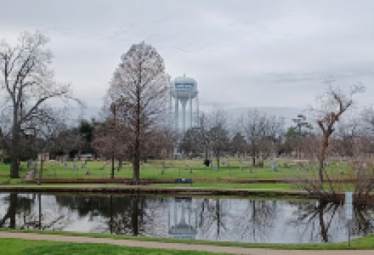Morris Memorial Park景点图片