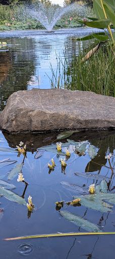 Bruce Starker Arts Park And Natural Area-科瓦利斯