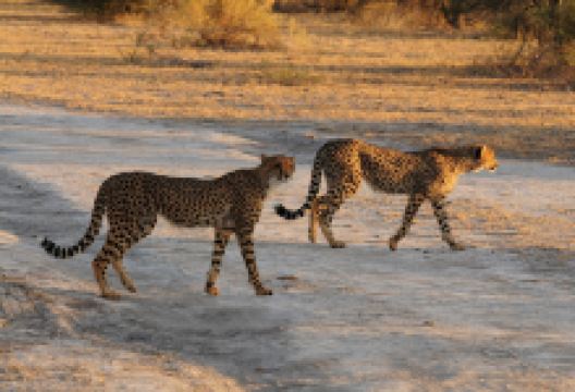 恩克塞盐沼国家公园景点图片
