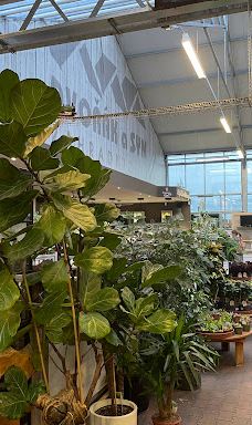 Zahradní Centrum Dvořák-特普利采