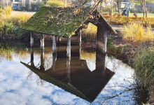 Gemeentepark Lint景点图片