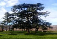 Parc de Bon Repos景点图片