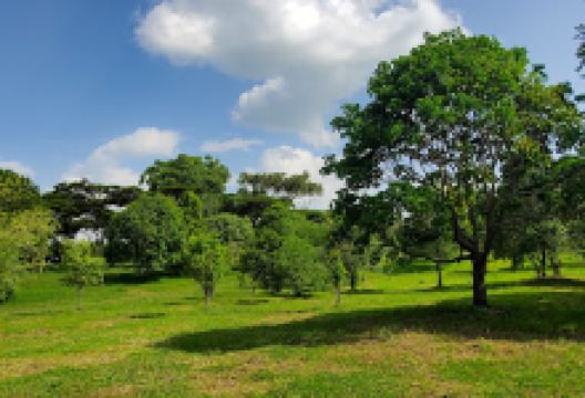 Egerton Botanic Garden景点图片