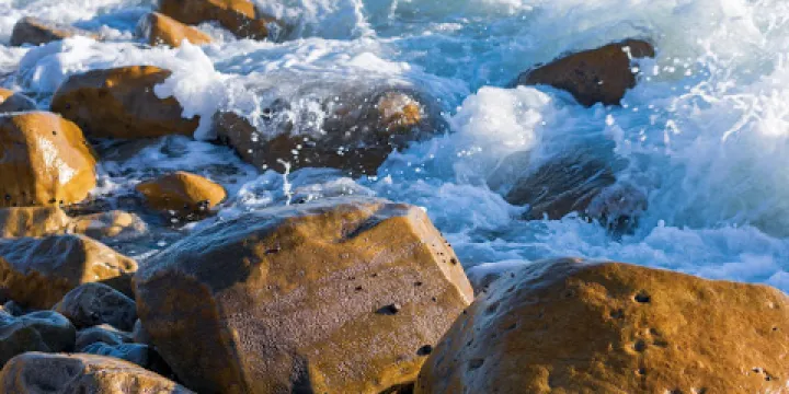 El Pescador State Beach
