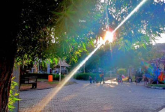 Queen Victoria Park景点图片