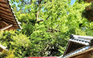 勝速日神社