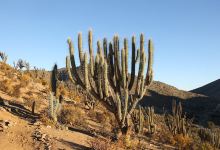 Hacienda El Durazno景点图片