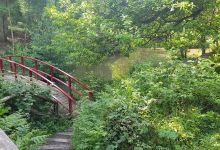 Darch's Wood景点图片