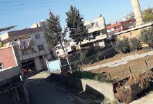 Şambayadı Köyü Cami景点图片