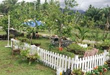 Rumah Ayah An Rusa Dan Kelulut Lenggong景点图片