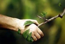 Mokrinsko jaje景点图片