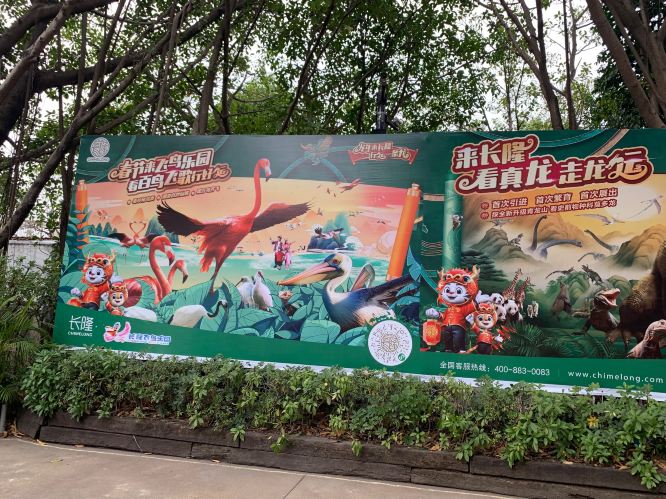长隆飞鸟乐园景点图片 18