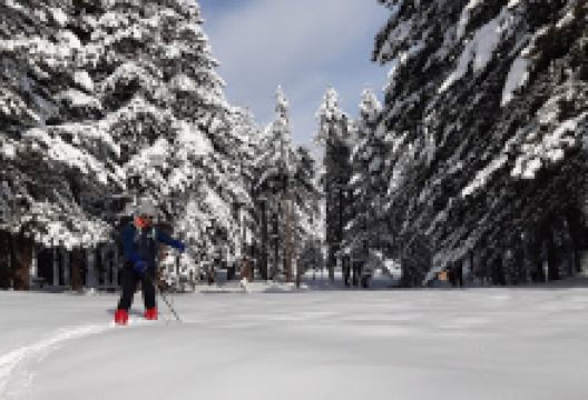 Emet Umutlu Köyü Sarısu Yaylası景点图片