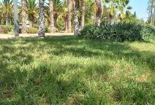 Moulay Abdellah Garden景点图片