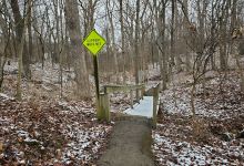 Klamberg Woods Conservation Area景点图片