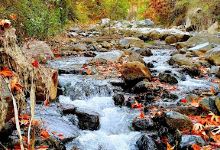 Sightseeing spot Amiantos river景点图片