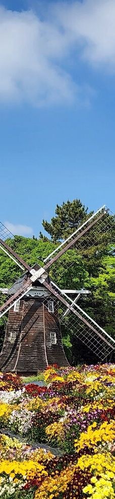 名城公园-名古屋