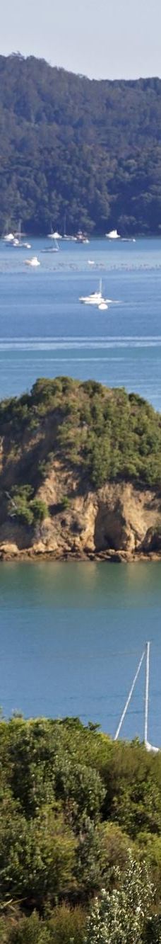 豪拉基湾-奥克兰