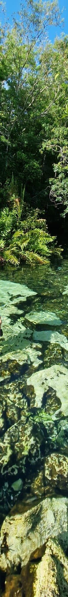 Cenote Azul-索里达瑞达德