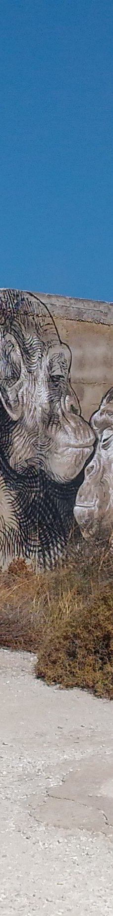 Cedar Forest of Alyko-纳克索斯