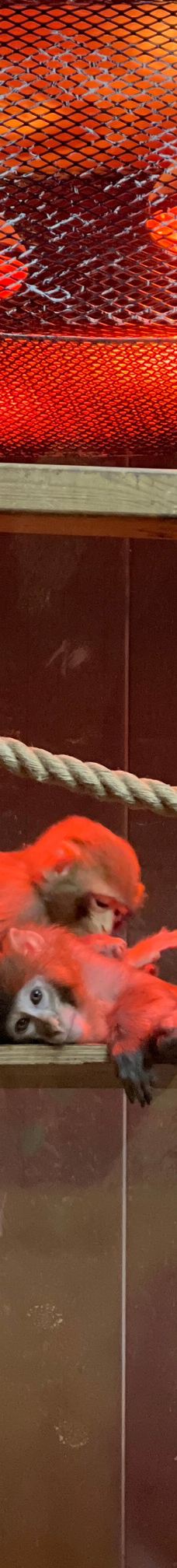 ViaSea水族馆-伊斯坦布尔