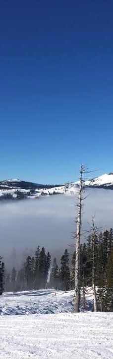Sugar Bowl Resort-普莱瑟县