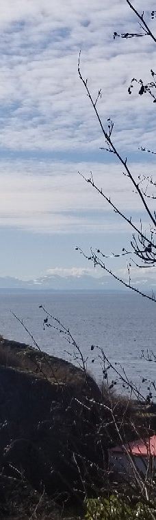 灯塔公园-西温哥华