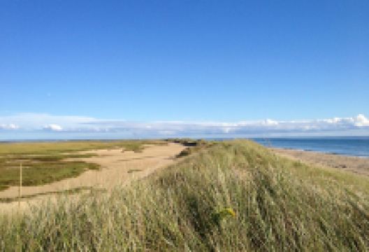 Herring Cove Beach景点图片