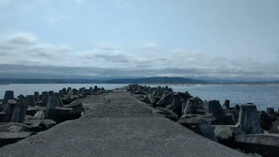 洪堡灣