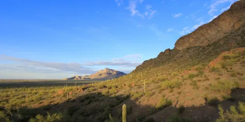 Picacho Peak State Park