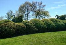 Ladew Topiary Gardens景点图片