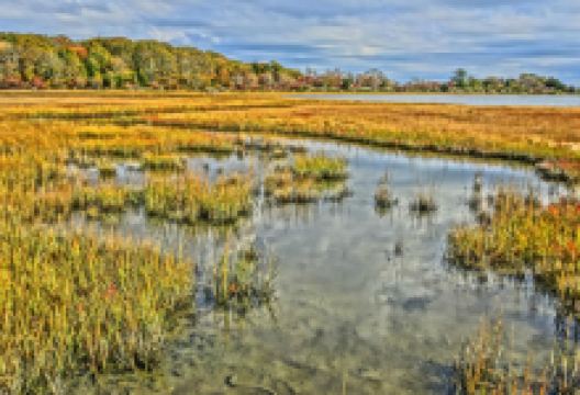 Mass Audubon's Allens Pond Wildlife Sanctuary景点图片