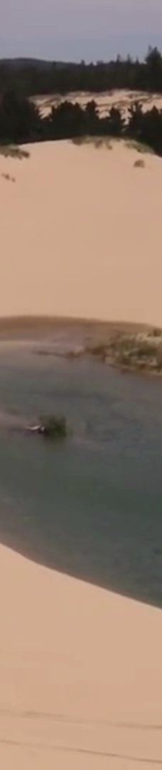 Sandland Adventures Inc-雷恩县