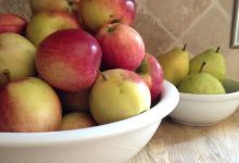 Sewall Organic Orchard景点图片