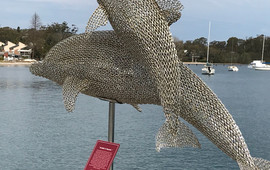 Medowie Macadamias