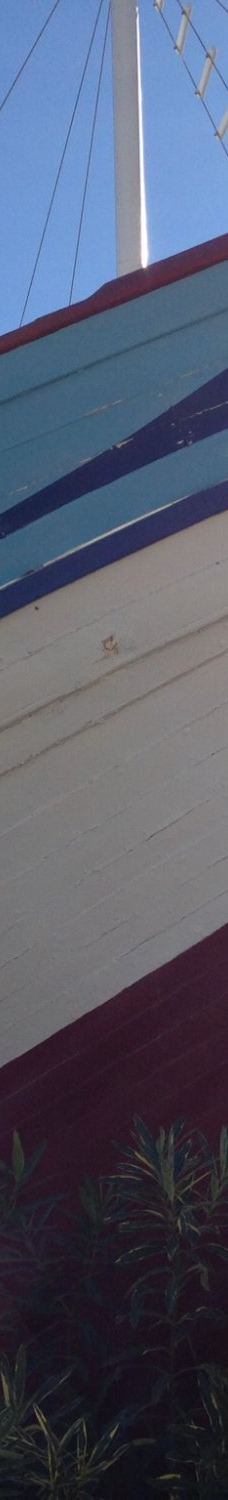 La Dorada 1a - Barco de Chanquete-内尔哈