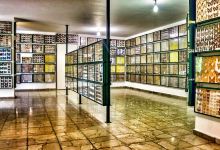Entomological Museum of Volos景点图片