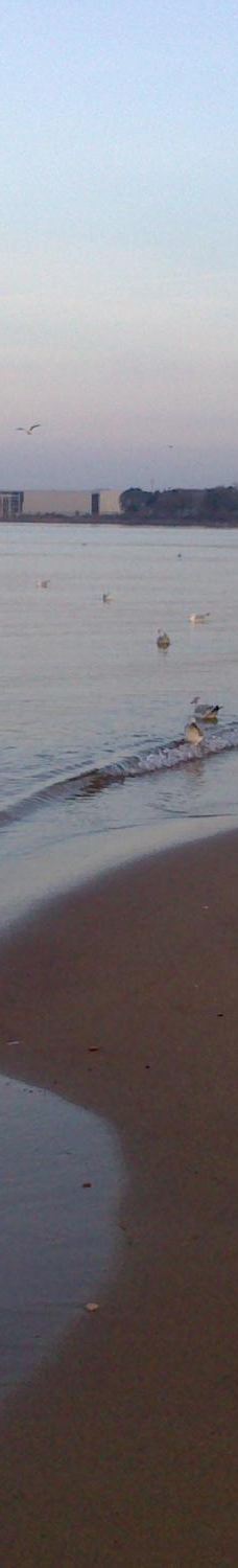 Brzezno Beach-格但斯克