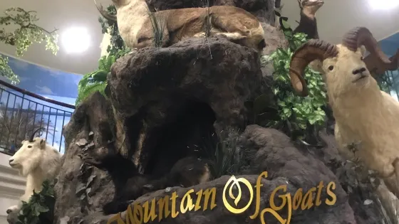 拉瑪特國際野生動物博物館