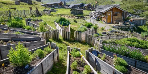 Ferme Pedagogique Chez Pepe Nicolas