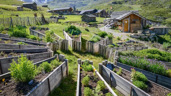 Ferme Pedagogique Chez Pepe Nicolas