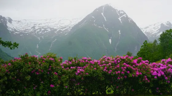 Lunde Arboretum