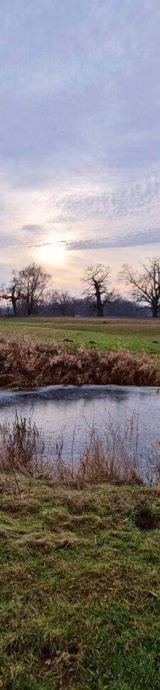 Rogalin Landscape Park-伯灵顿