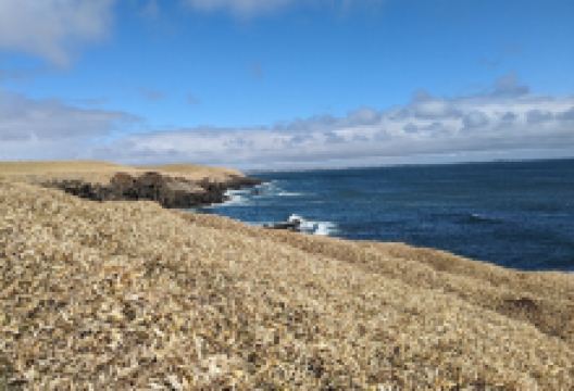 根室车石景点图片