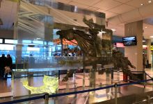 Sculpture Conquest of Siberia景点图片