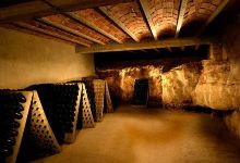 Olive Batllori Winery景点图片