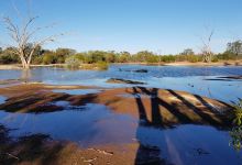 Bowra Sanctuary景点图片