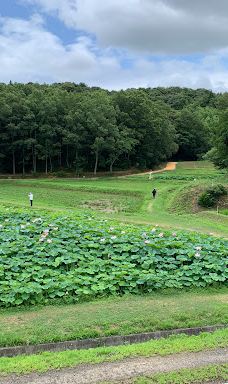 荒神谷博物館-出云