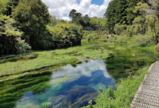 Te Waihou Rapids景点图片