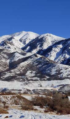 Andy Adams Park-雷顿